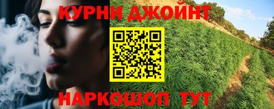 МДПВ Сланцы
