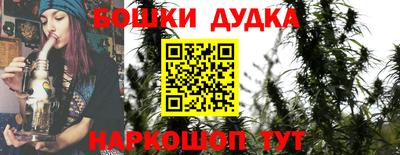 МДПВ Сланцы