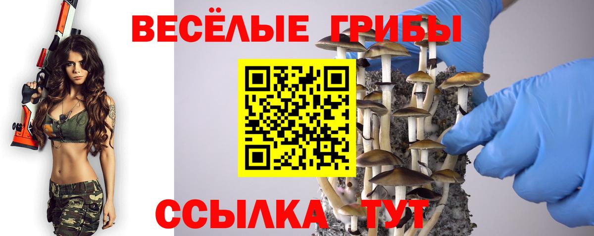 Галлюциногенные грибы Psilocybine cubensis  Вход с VPN  Новочеркасск 