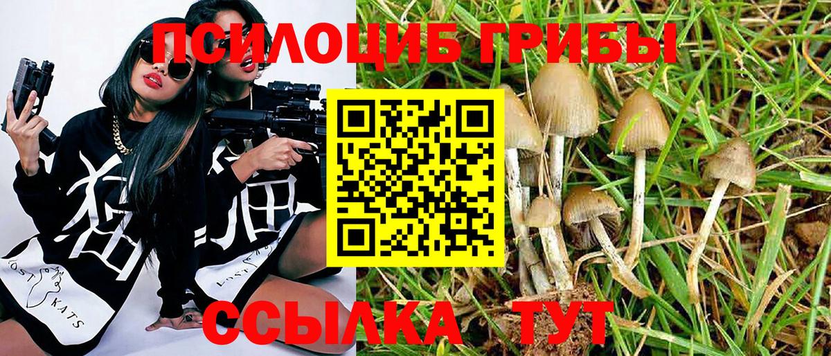 Галлюциногенные грибы Magic Shrooms Новочеркасск